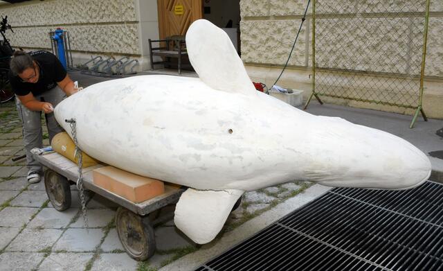 Foto: NHM Wien/Christina Rittmannsperger