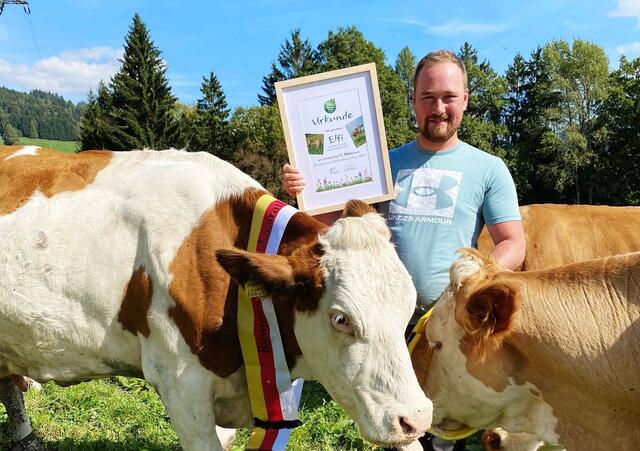 "Elfi" aus Trebesing hat den "Bio Wiesenmilch Kuhmarathon" gewonnen. | Foto: Kärntnermilch