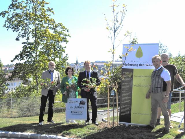 Herbert Grulich, Hermine Hackl, Bezirkshauptmann Markus Peham, Gerhard Blabensteiner und Ludwig Bauer (v.l.) | Foto: Verein zur Förderung des Waldes