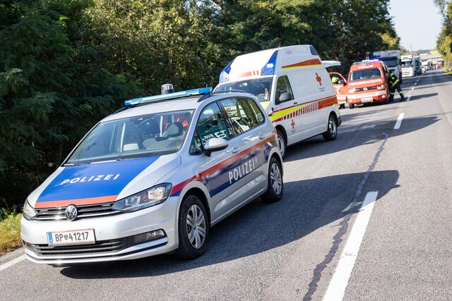 Foto: TEAM FOTOKERSCHI.AT/ANTONIO BAYER