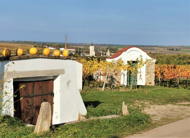 Die Kellergasse in Zellerndorf. | Foto: Josef Messirek