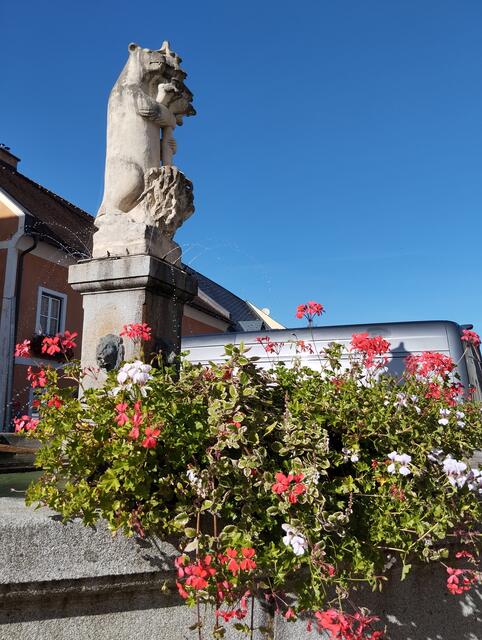  Legende des Bären und des Hl. Gallus