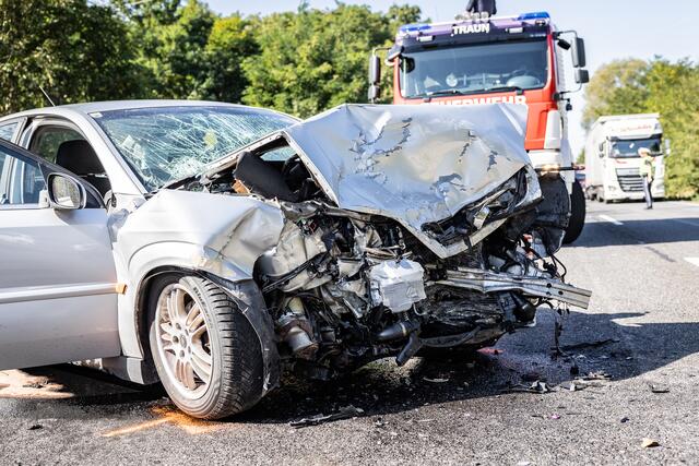 Foto: TEAM FOTOKERSCHI.AT/ANTONIO BAYER