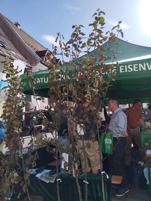 Streuobstbäume zum Verkauf