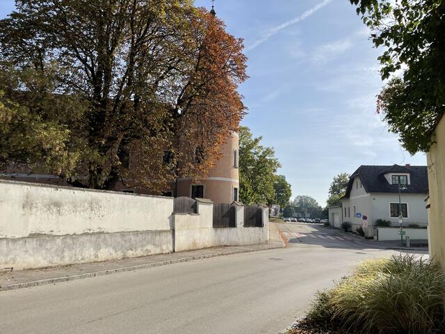Fels am Wagram, so wie man es heute kennt. | Foto: Victoria Edlinger