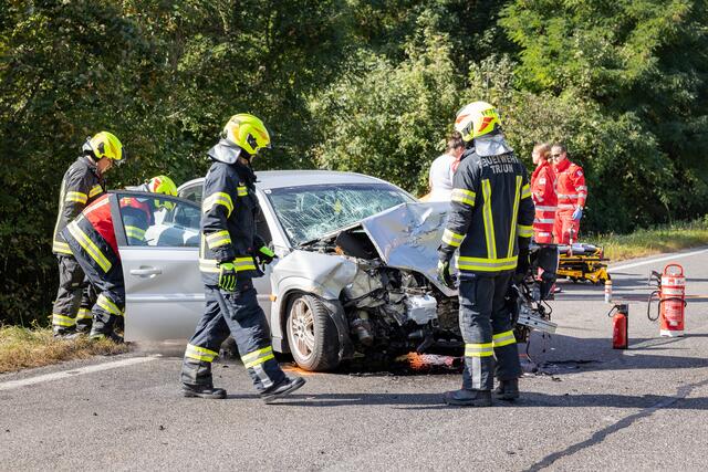 Foto: TEAM FOTOKERSCHI.AT/ANTONIO BAYER