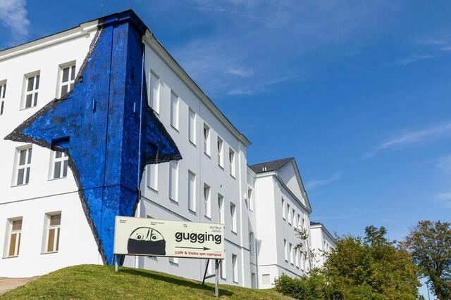 Der November hält wieder einiges für Kunstinteressierte bereit. | Foto: Ludwig Schedl