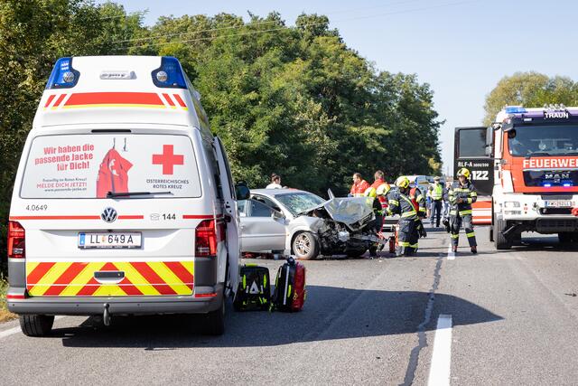 Foto: TEAM FOTOKERSCHI.AT/ANTONIO BAYER