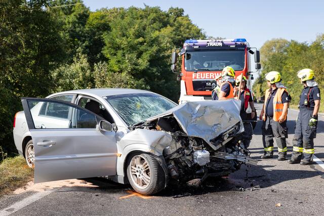Foto: TEAM FOTOKERSCHI.AT/ANTONIO BAYER
