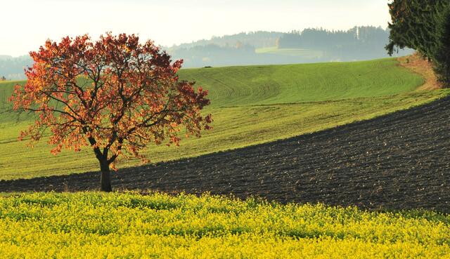 Foto: Gemeinde Haibach