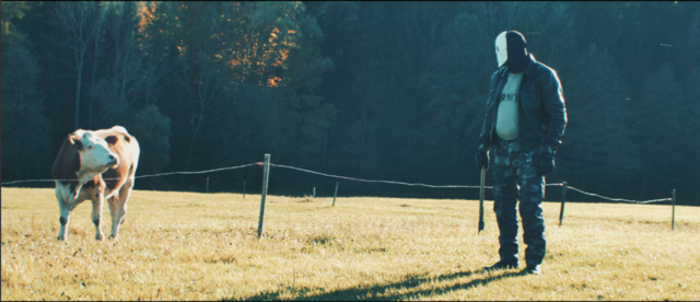 Kuh vs. Killer: Eine Szene die ganz zufällig entstanden ist, aber nun nicht mehr wegdenkbar wäre.  | Foto: Lavelle Media