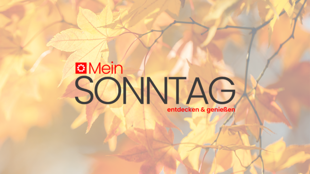 Jetzt MeinSonntag.at entdecken!  | Foto: stock.adobe.com / RomixImage / Logo: RegionalMedien Kärnten