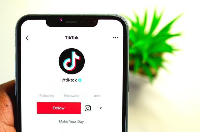 TikTok zählt weltweit zu den Lieblings-Social-Media-Apps bei Jugendlichen. | Foto: Pixabay