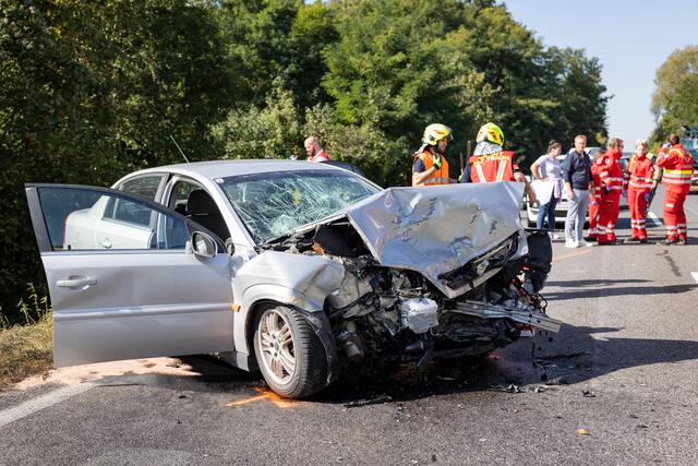 Foto: TEAM FOTOKERSCHI.AT/ANTONIO BAYER