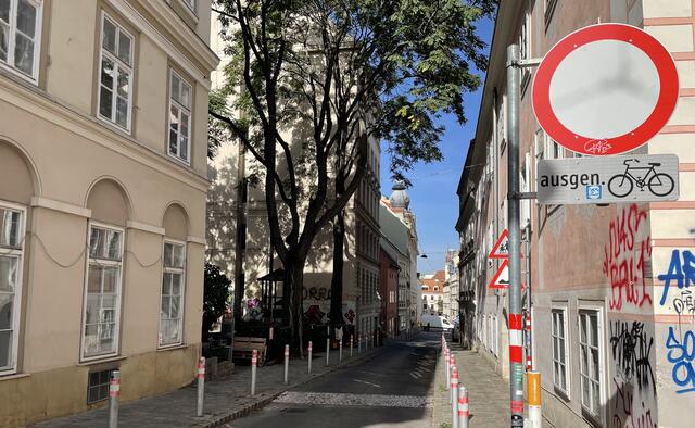 Autos dürfen durch diesen Teil der Kirchberggasse nicht fahren. Aber das Schild allein hält Autofahrer nicht ab.  | Foto: Martin Rolshausen