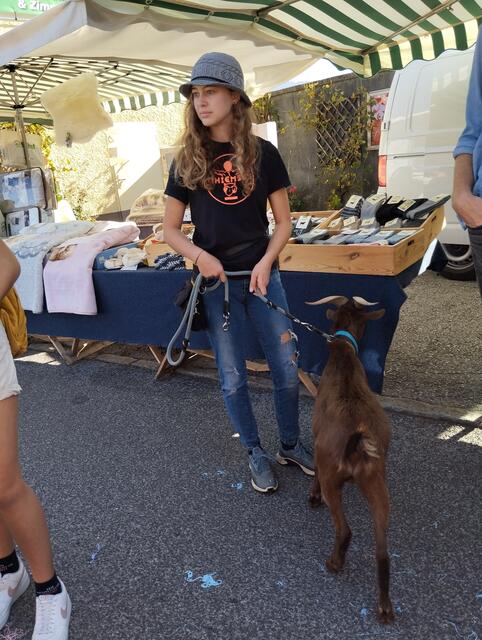 Ich bin dann mal am Gallikirtag ...