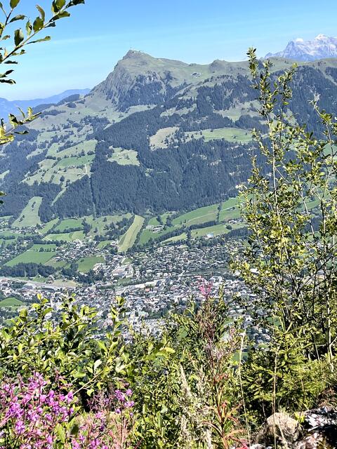 Live-Talk vom Hahnenkamm. | Foto: Kogler