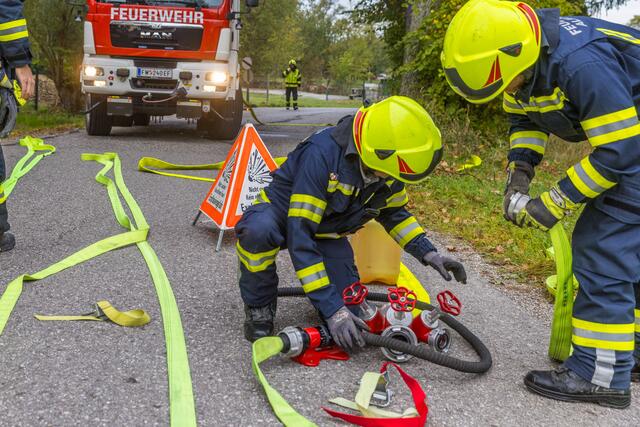 Foto: Hermann Kollinger