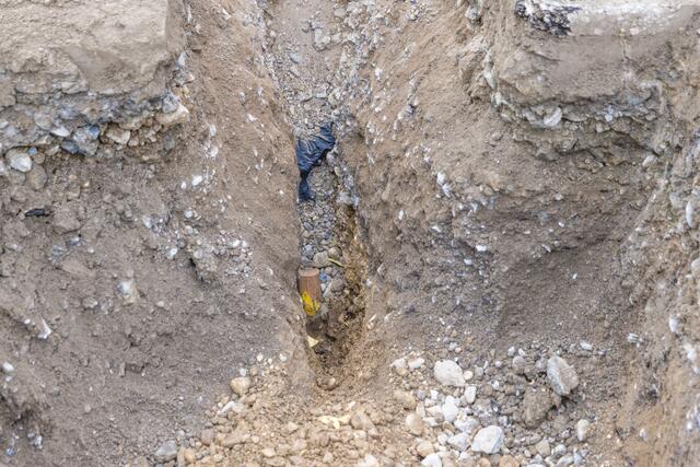 Foto: Hermann Kollinger