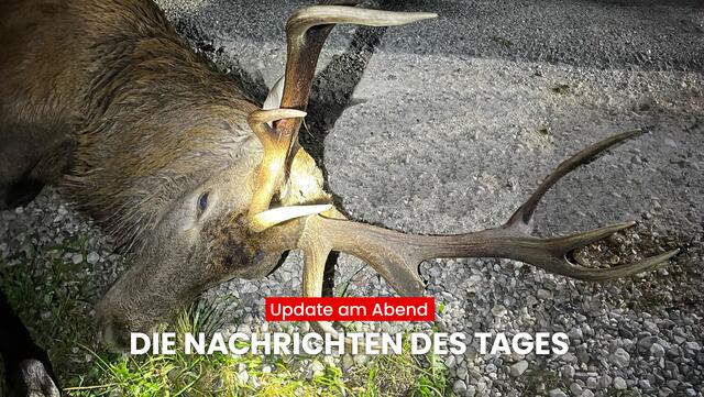 Mit dem Bezirksblätter "Update am Abend" erfährst du, was heute in Tirol los war. Das sind die wichtigsten Nachrichten aus Tirol. | Foto: BezirksBlätter Tirol / Zoom.Tirol