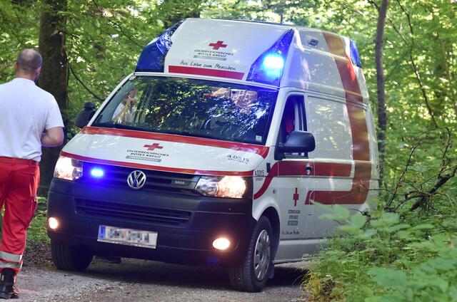 Für das kleine Mädchen, welches beim Spielen in Bad Ischl von einem Steinblock getroffen wurde, kam jede Hilfe zu spät.  | Foto: PantherMedia / Spitzi (Symbolfoto)