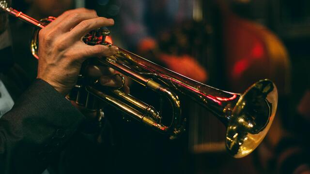 Das Jazzfest wird drei Tage lang auf der Wieden gefeiert.  | Foto:  Chris Bair/Unsplash