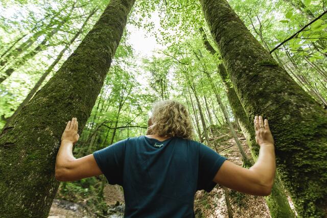 In der Ruhe liegt die Kraft – das spürt man besonders in stillen Wäldern. | Foto: Sportalpen Marketing
