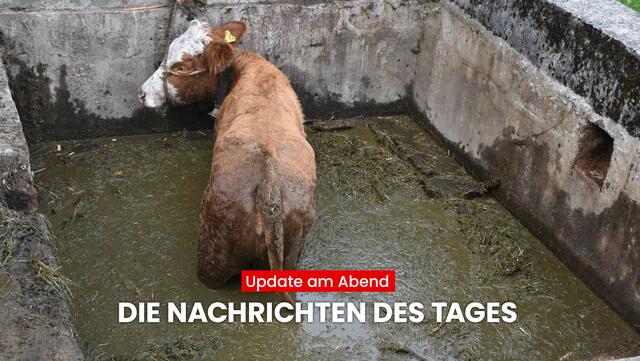 Mit dem Bezirksblätter "Update am Abend" erfährst du, was heute in Tirol los war. Das sind die wichtigsten Nachrichten aus Tirol. | Foto: BezirksBlätter Tirol / ZOOM.TIROL