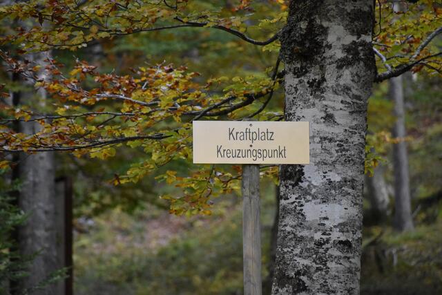 Foto: Barbara Fluckinger