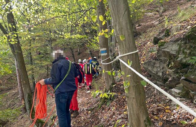 Vor Ort wurde die Verletzte Notärztlich erstversorgt. | Foto: DOKU NÖ