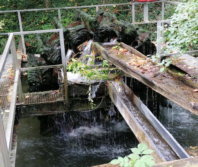 Wasserrad im Tiergarten