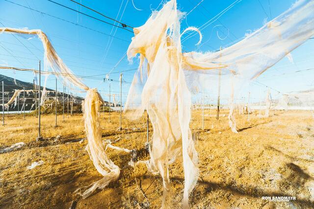 Foto: Ron Sandmayr Photography