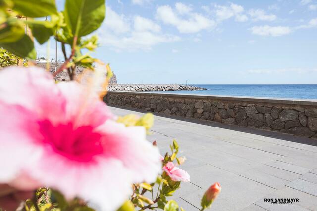 Foto: Ron Sandmayr Photography