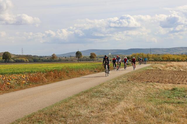 Foto: Wolfgang Hanousek