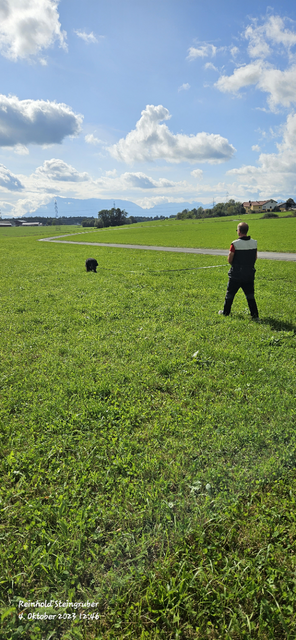 Foto: Steingruber