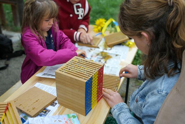 Foto: BRS/Greinöcker