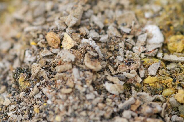 Foto: BRS/Greinöcker