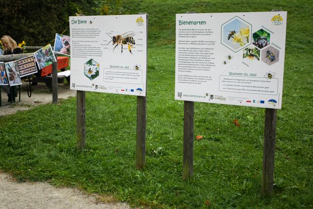 Foto: BRS/Greinöcker