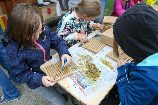 Foto: BRS/Greinöcker