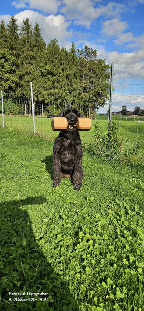 Foto: Steingruber