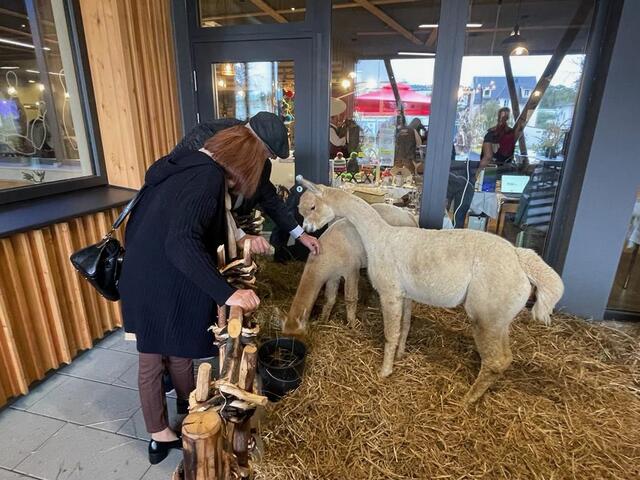 Foto: Magdalena Schröttner