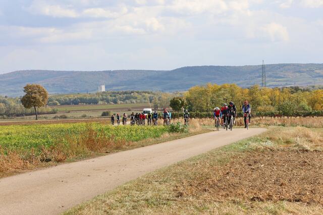 20 Radfahrer radelten die rund 60 Kilometer nach Retz. | Foto: Wolfgang Hanousek