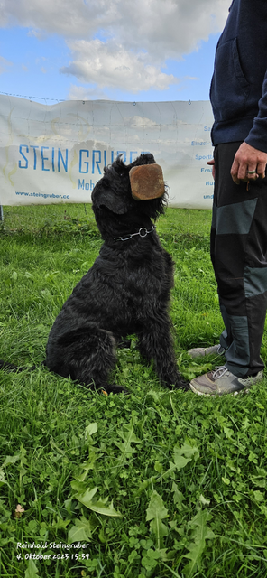 Foto: Steingruber
