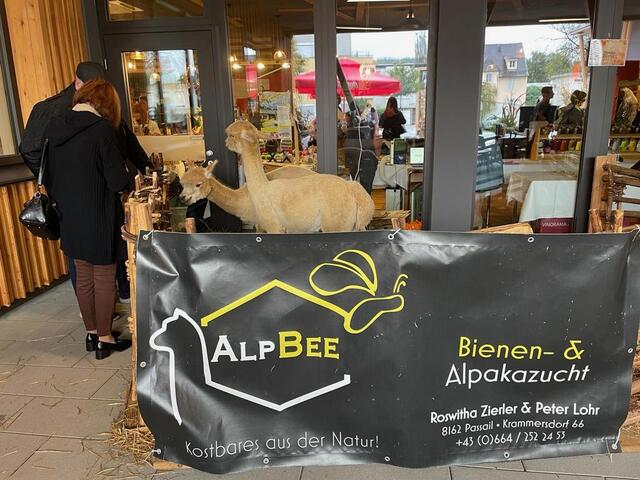 Foto: Magdalena Schröttner