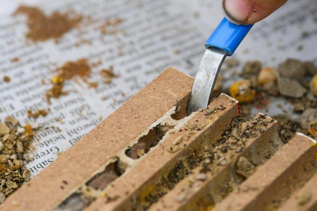 Foto: BRS/Greinöcker