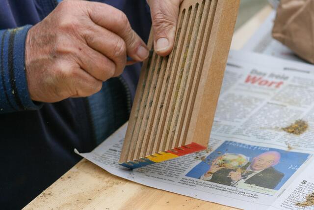 Foto: BRS/Greinöcker