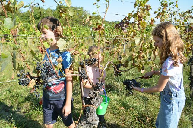 Foto: Jennifer Flechl