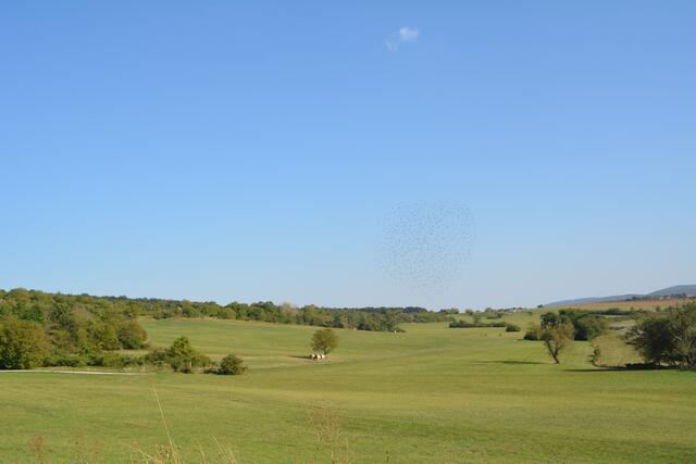 Der Naturpark Rosalia-Kogelberg begeistert vor allem durch seine atemberaubende Landschaft. | Foto: Jennifer Flechl