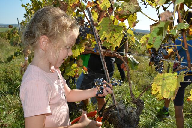 Foto: Jennifer Flechl