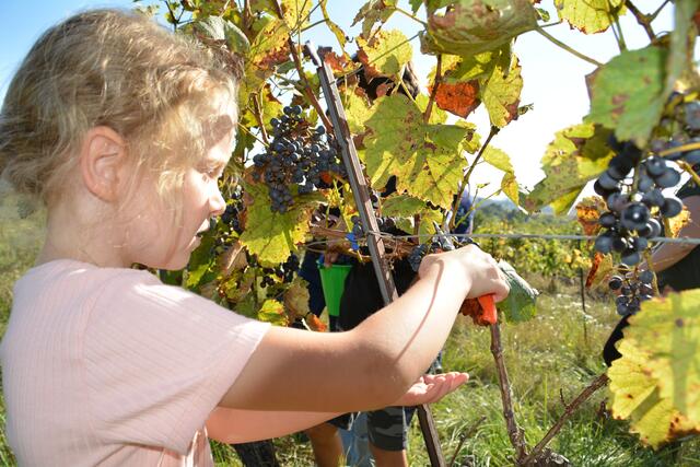 Foto: Jennifer Flechl